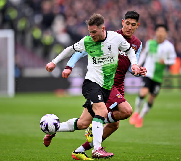 成为灰熊进 成为灰熊进