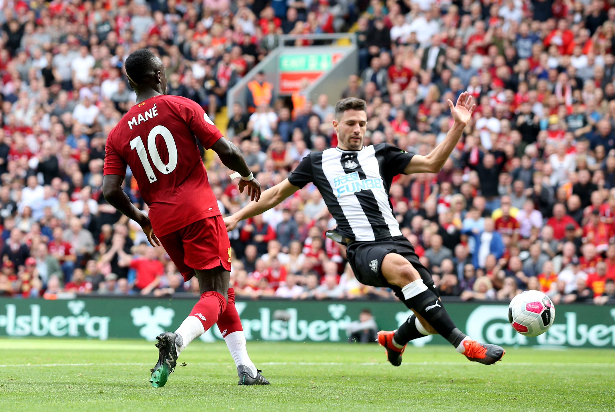 他与塞尔吉 他与塞尔吉